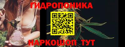 бошки Анжеро-Судженск