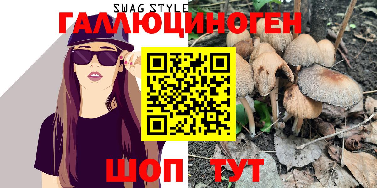 Галлюциногенные грибы мицелий  Псилоцибиновые грибы MAGIC MUSHROOMS  Отрадный  где найти наркотики  Вход с VPN 